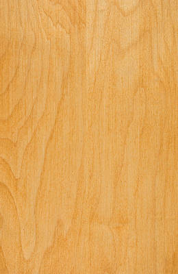 Maple Light Cherry