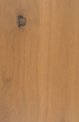 Knotty Alder Honey
