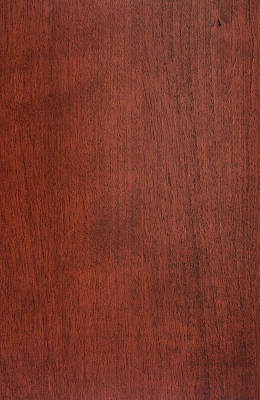 Birch Red Cherry
