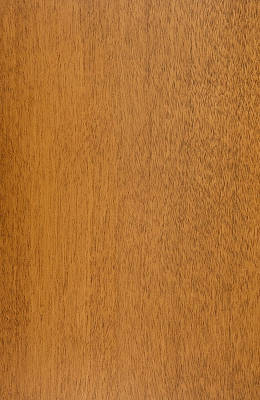 Birch Light Fruitwood