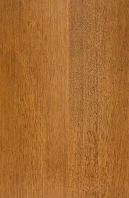 Birch Tawny Beige