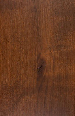 Knotty Alder Light Fruitwood
