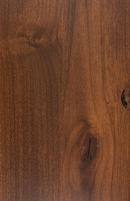 Knotty Alder Tawny Beige