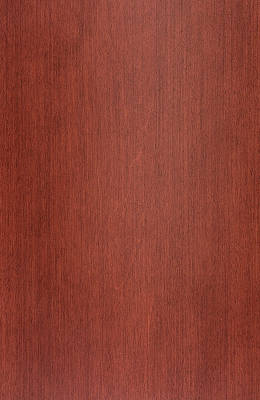 Maple Red Cherry