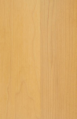 Maple Honey