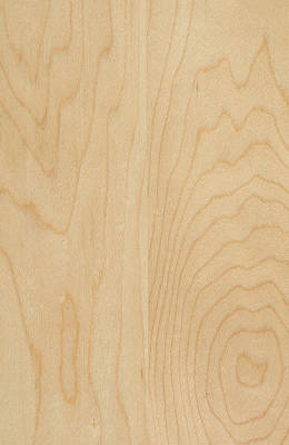 Maple Clear Natural