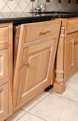Dishwasher Panel