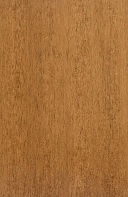 Maple Tawny Beige