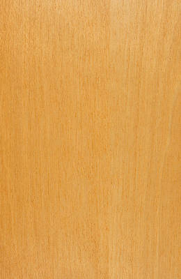 Birch Light Cherry